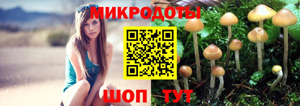 Новоуральск  Галлюциногенные грибы MAGIC MUSHROOMS  Вход с VPN 